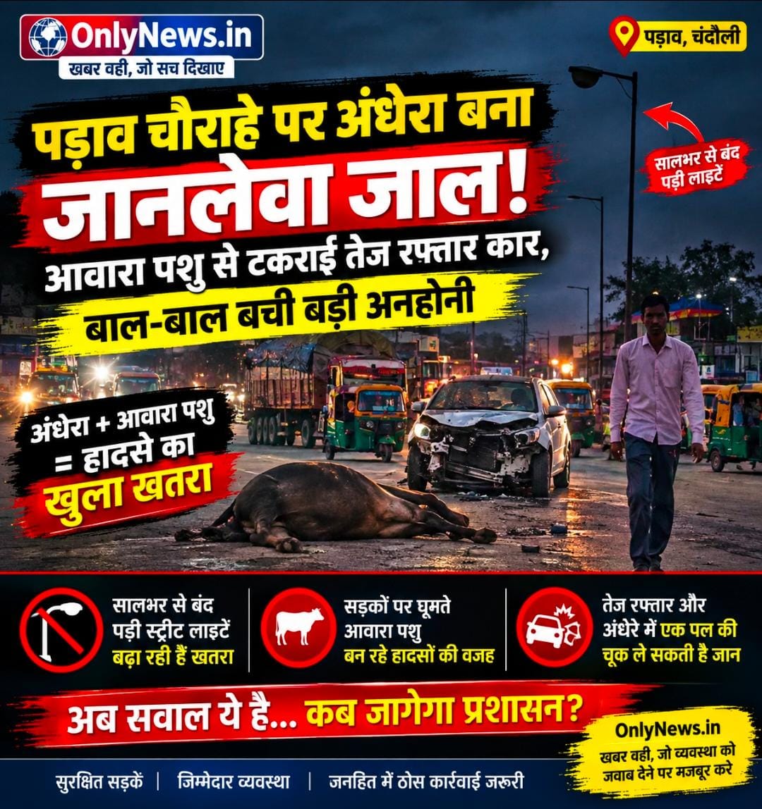 पड़ाव चौराहे पर अंधेरा बना जानलेवा जाल! आवारा पशु से टकराई तेज रफ्तार कार, बाल-बाल बची बड़ी अनहोनी सालभर से बंद पड़ी स्ट्रीट लाइटों पर उठे सवाल
