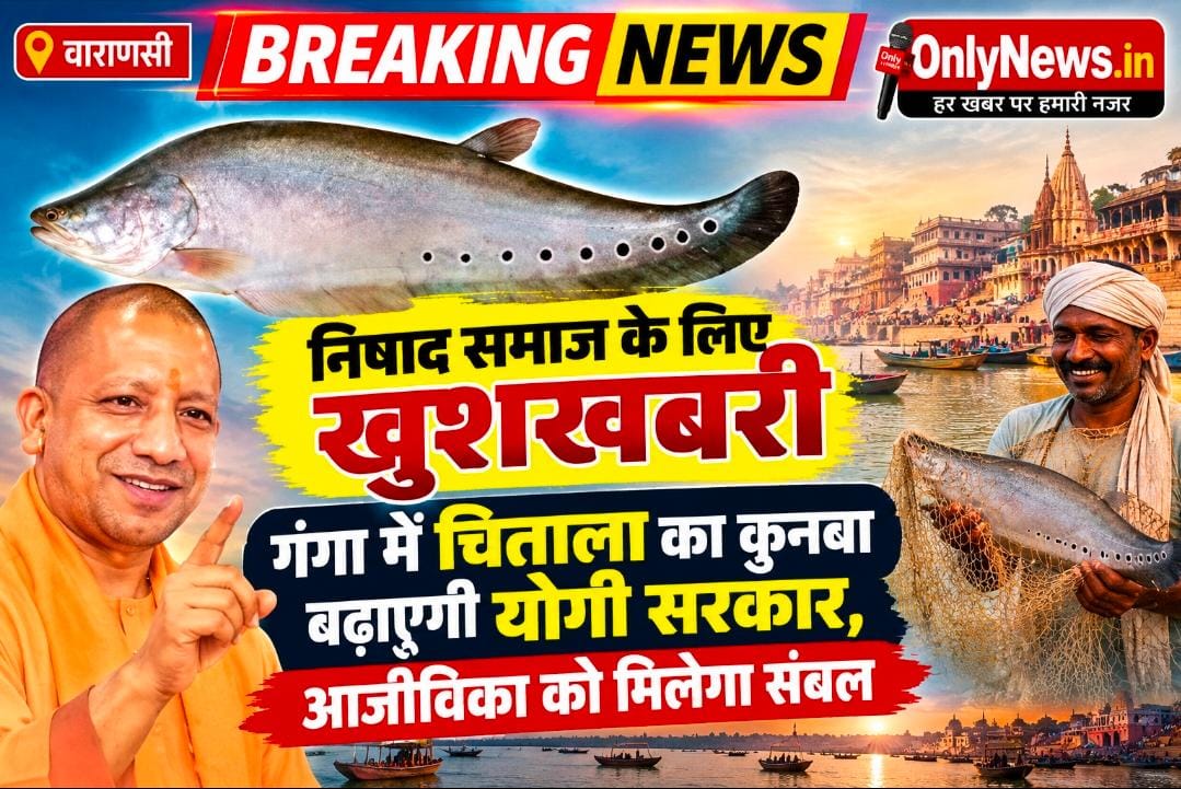 मछुआरों की चमकेगी किस्मत! गंगा में छोड़ी जाएंगी 1 लाख चिताला, बढ़ेगी कमाई और पौष्टिक आहार